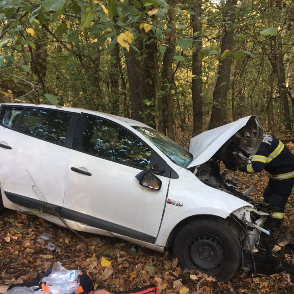 D5570e1c 2111 4281 Ad5d 2d12430b41f4