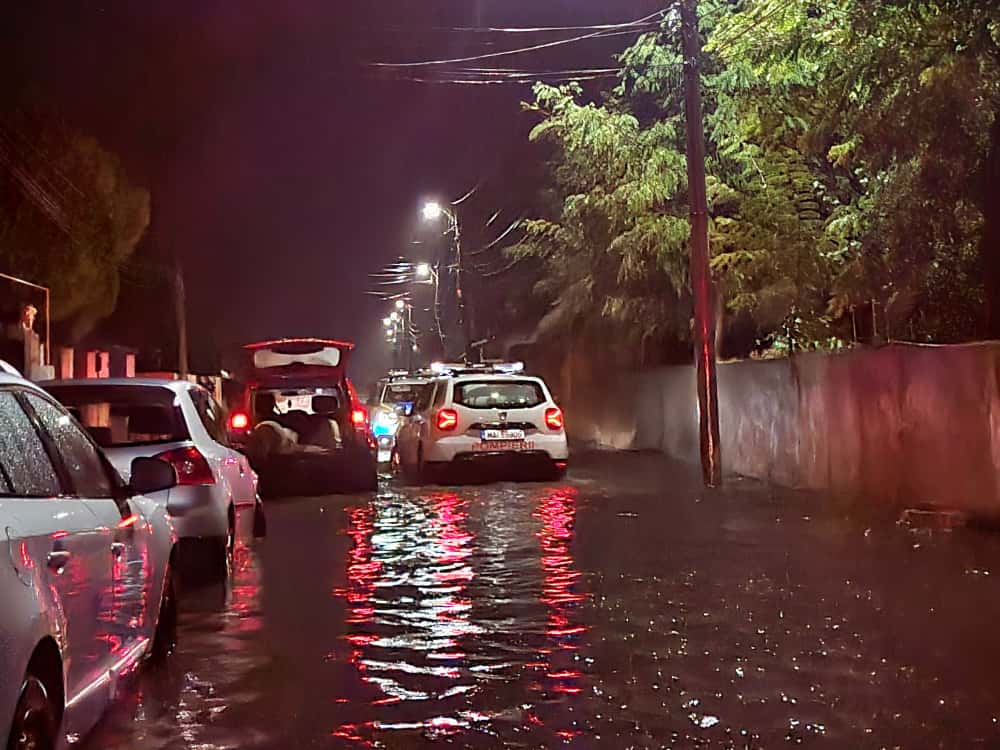 217001ea 9a50 44bd a1ba bd9cb1a81070