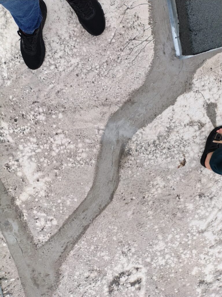 5da081aa caa2 4e2a 92cb 2a77e9ca76cd