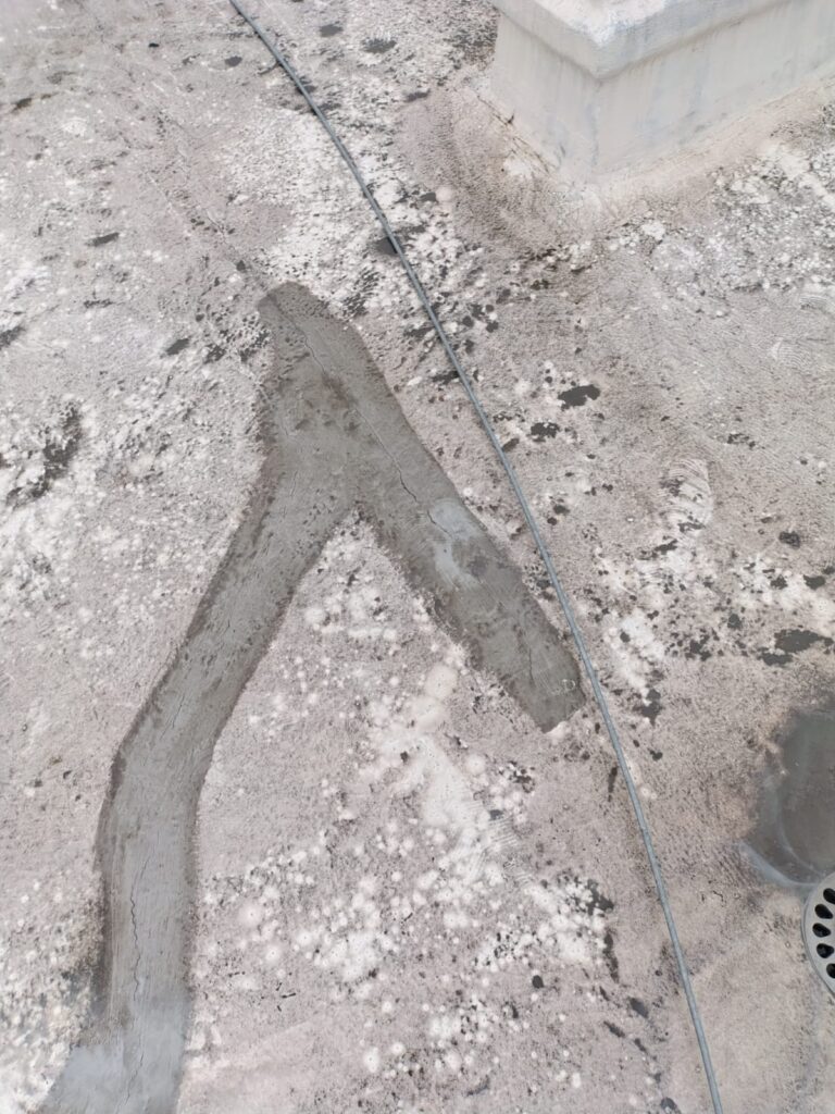 68e7da4a f084 421f b814 36fcad1d8c44