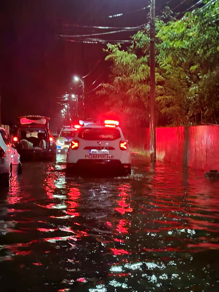 8ba3ce0d 9f5c 4478 83af 671759f151de